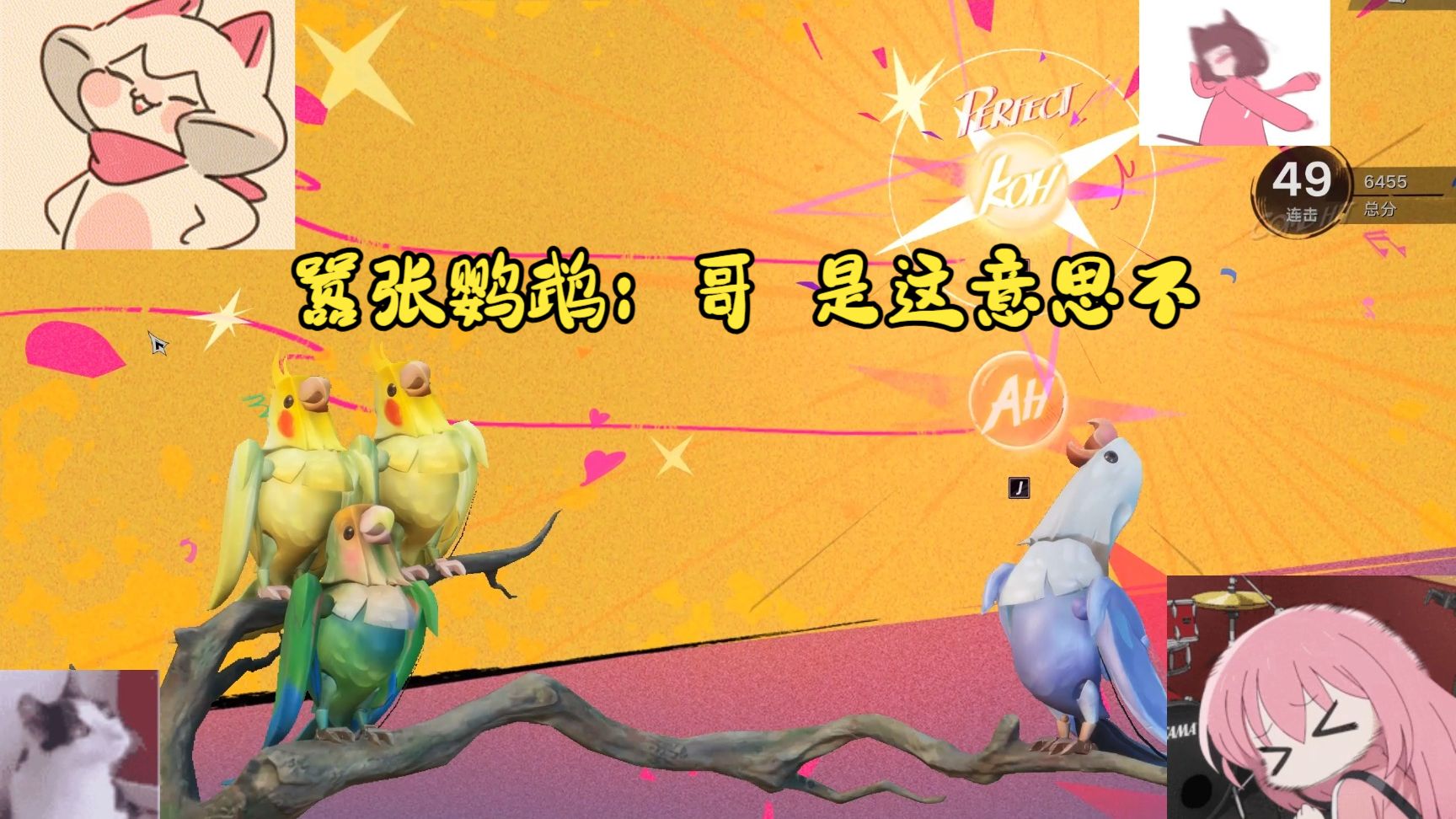 【遗忘之海】吵闹鹦鹉：你甚至可以玩音游